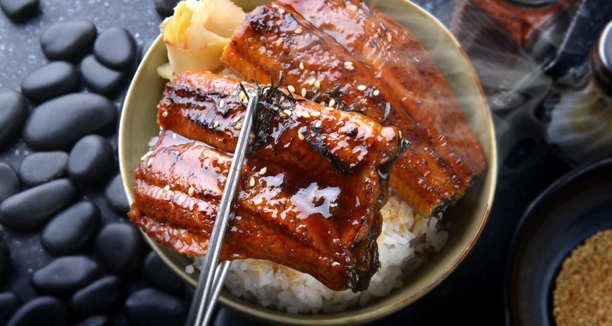 Kuliner Khas Unagi Berasal Dari Jepang, Udah Pernah Coba?