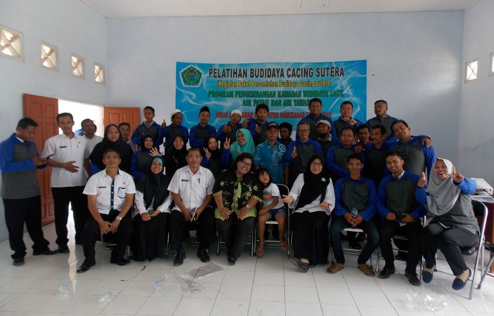 Budidaya Cacing Sutra Dengan Sistem Modern Bisa Hasilkan Cuan