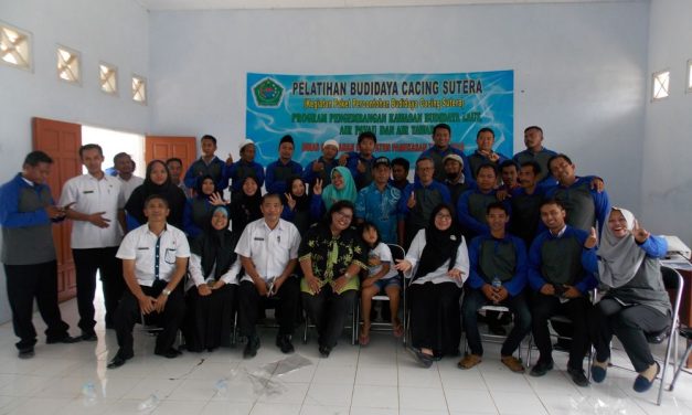 Budidaya Cacing Sutra Dengan Sistem Modern Bisa Hasilkan Cuan