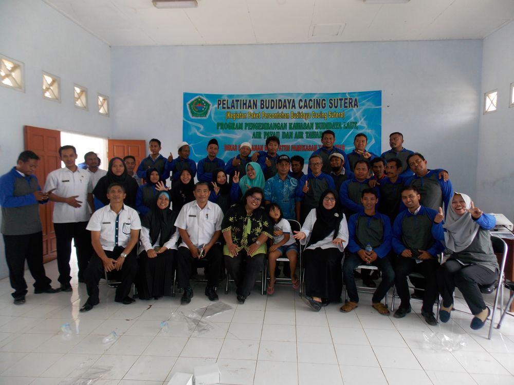 Budidaya Cacing Sutra