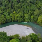 Tangkahan Salah Satu Surganya Habitat Para Gajah Di Sumatra