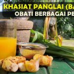 Manfaat Dari Bangle Yang Ampuh Obati Berbagai Penyakit
