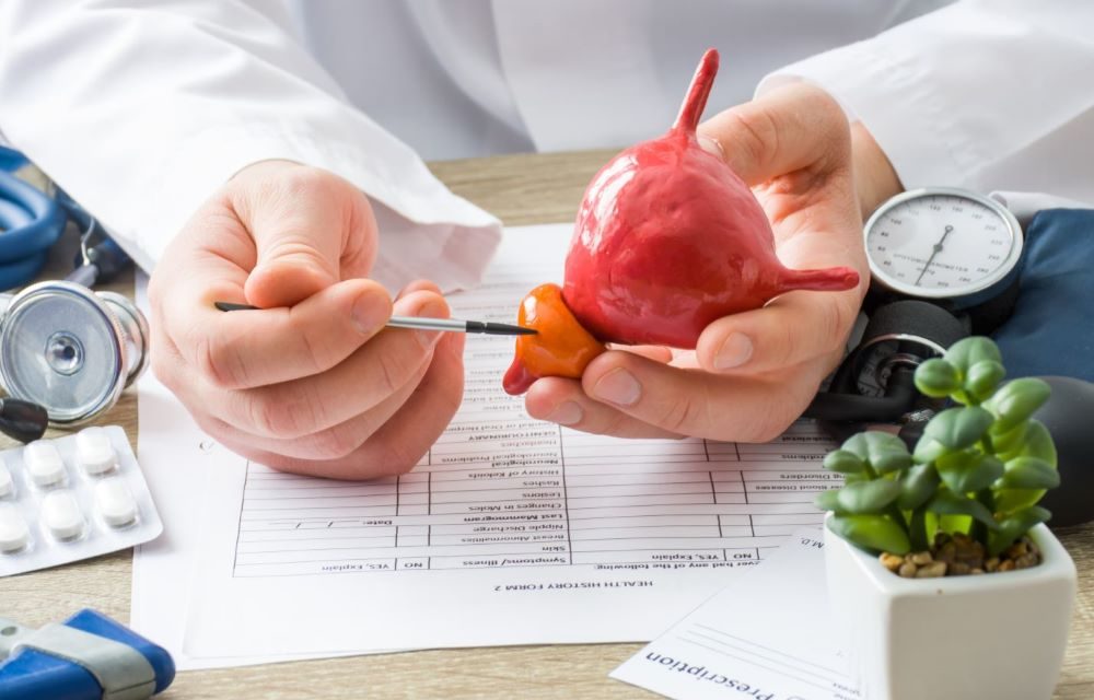 Penyakit Kanker Prostat Berkembang Di Kelenjar Prostat