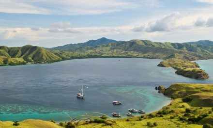 Keindahan Alam Pulau Komodo: Surga Di Timur Indonesia