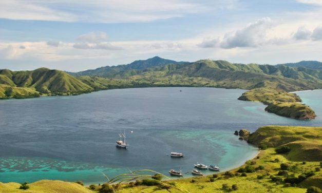 Keindahan Alam Pulau Komodo: Surga Di Timur Indonesia