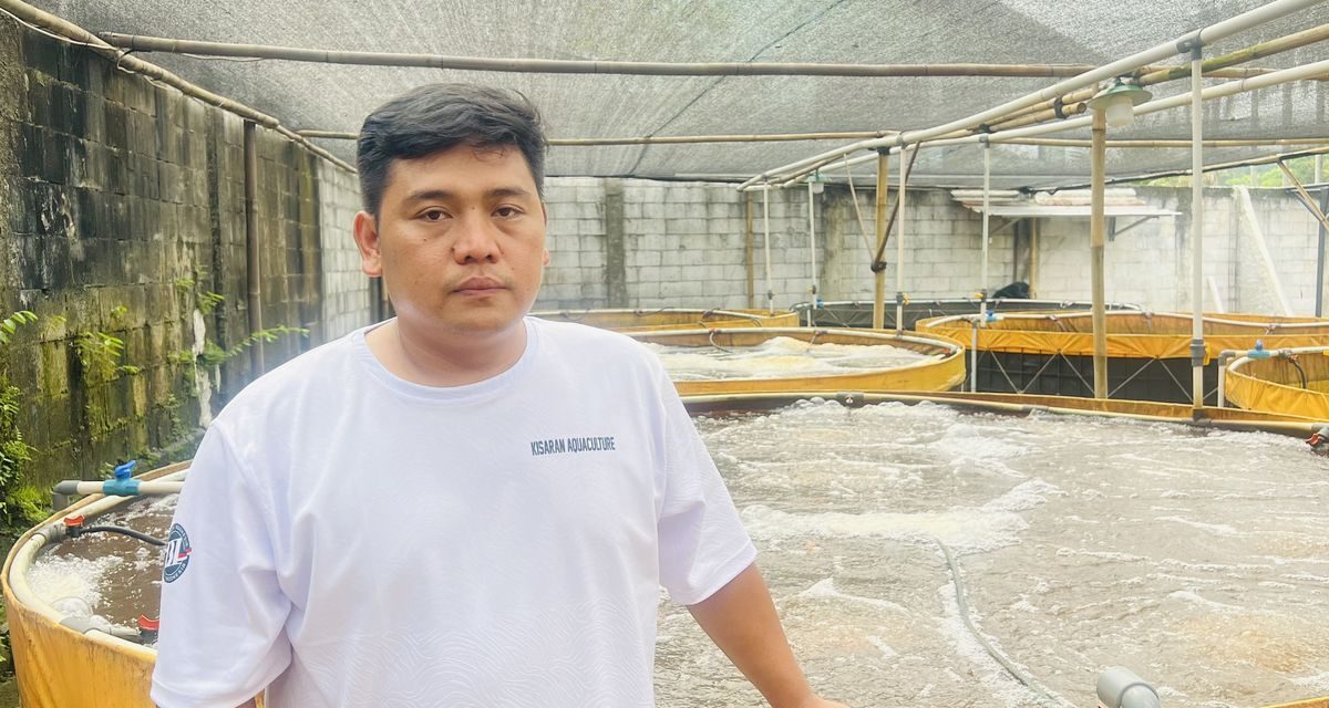 Bantuan Kolam Ikan: Pentingnya Peran Praktisi Untuk Kemajuan