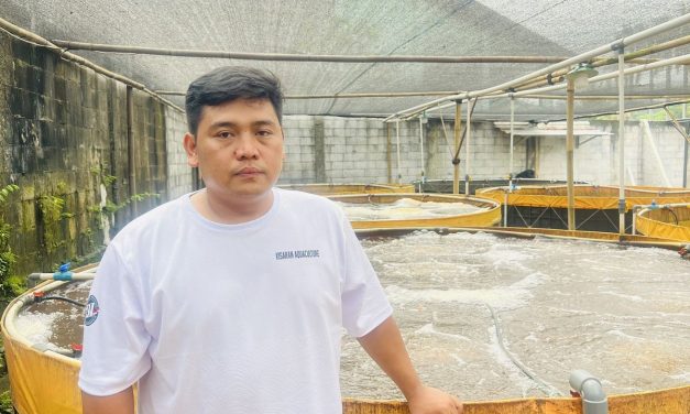 Bantuan Kolam Ikan: Pentingnya Peran Praktisi Untuk Kemajuan